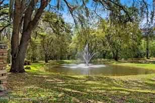 11200 Woodland Waters Blvd, Weeki Wachee, FL 34613 - Photo 44
