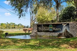 11200 Woodland Waters Blvd, Weeki Wachee, FL 34613 - Photo 44