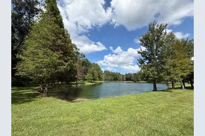 17874 Althea Blue Place, Lutz, FL 33558 - Photo 38