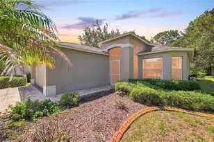 18420 Fairway Green Dr, Hudson, FL 34667 - Photo 1
