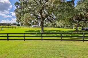 23025 Hayman Rd, Brooksville, FL 34602 - Photo 38