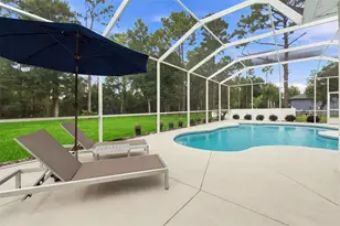 5401 Zamia Dr, Brooksville, FL 34604 - Photo 48
