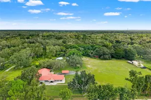 20319 Painter Pl, Spring Hill, FL 34610 - Photo 52