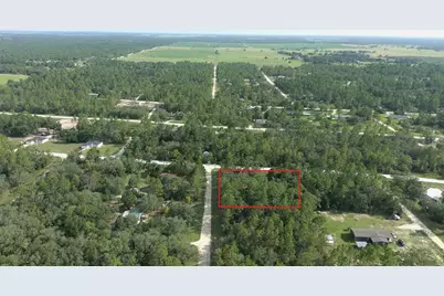 650 NE 138 Avenue, Williston, FL 32696 - Photo 10