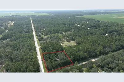 650 NE 138 Avenue, Williston, FL 32696 - Photo 8