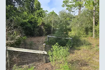 650 NE 138 Avenue, Williston, FL 32696 - Photo 14