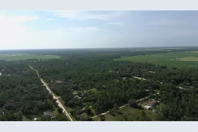 650 NE 138 Avenue, Williston, FL 32696 - Photo 6