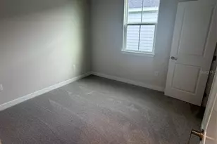 18732 Highland Dew St, Spring Hill, FL 34610 - Photo 10