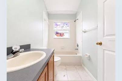12533 Sparkleberry Road, Tampa, FL 33626 - Photo 20