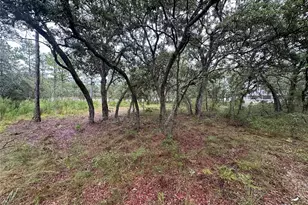 10361 Thrasher Ave, Weeki Wachee, FL 34614 - Photo 36