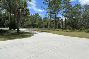 10361 Thrasher Ave, Weeki Wachee, FL 34614 - Photo 8