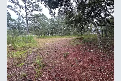 10361 Thrasher Avenue, Weeki Wachee, FL 34614 - Photo 38