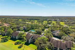 121 Lindsay Ln, Oldsmar, FL 34677 - Photo 38