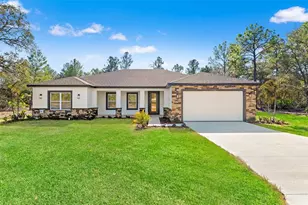 10439 Gypsy Ave, Weeki Wachee, FL 34613 - Photo 1