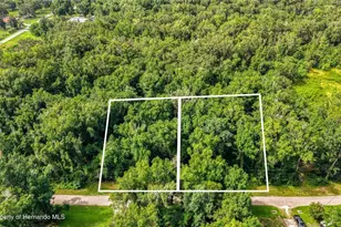 23186 Fitzhugh Ave, Brooksville, FL 34601 - Photo 1