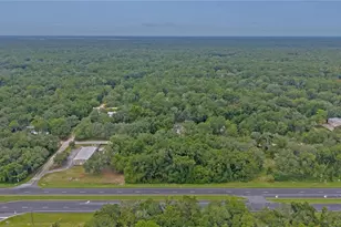 0 N Hwy 19, Chiefland, FL 32626 - Photo 1