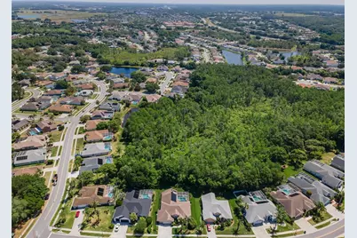 1234 Arlinbrook Drive, Trinity, FL 34655 - Photo 48
