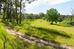 15265 Hebron Church Rd, Brooksville, FL 34614 - Photo 12