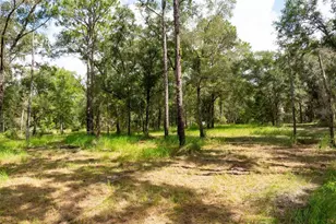 15265 Hebron Church Rd, Brooksville, FL 34614 - Photo 10