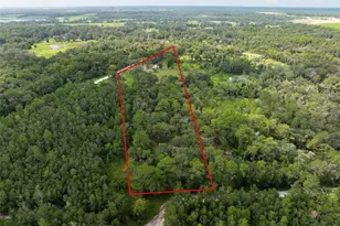 15265 Hebron Church Rd, Brooksville, FL 34614 - Photo 6