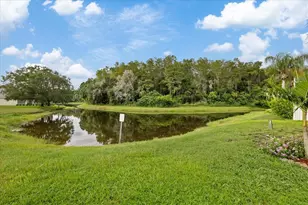 4320 Stones River Ct, New Port Richey, FL 34653 - Photo 40