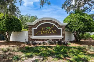 165 Argyll Dr, Spring Hill, FL 34609 - Photo 38