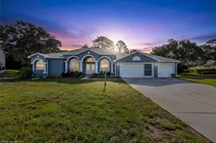 11382 Doxsey Hill Cir, Spring Hill, FL 34609 - Photo 1