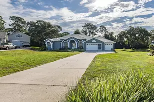 11382 Doxsey Hill Cir, Spring Hill, FL 34609 - Photo 2