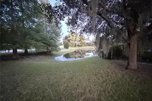 19314 Red Sky Ct, Land O Lakes, FL 34638 - Photo 26