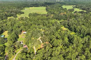 4311 Culbreath Rd, Brooksville, FL 34601 - Photo 34