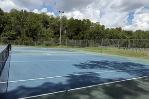 14446 Shangrila Ln, Odessa, FL 33556 - Photo 80
