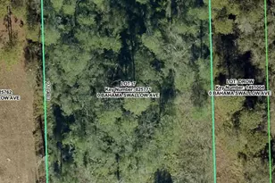 7277 Bahama Swallow Ave, Weeki Wachee, FL 34613 - Photo 1