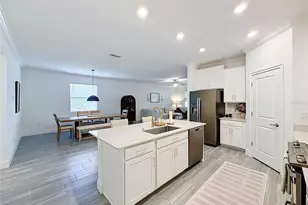 9962 Campanula Ct, Land O Lakes, FL 34637 - Photo 10