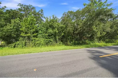 00 Lot37.4 Emerson Road, Brooksville, FL 34601 - Photo 6