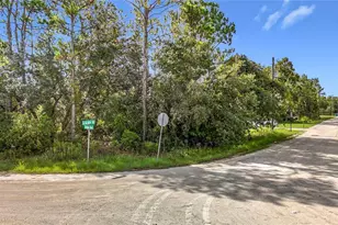 13542 Robin Ave, Weeki Wachee, FL 34614 - Photo 1
