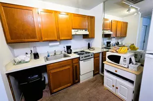 1778 Samurai Point, Lutz, FL 33558 - Photo 74