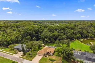 10531 Miracle Ln, New Port Richey, FL 34654 - Photo 62