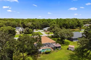 10531 Miracle Ln, New Port Richey, FL 34654 - Photo 66