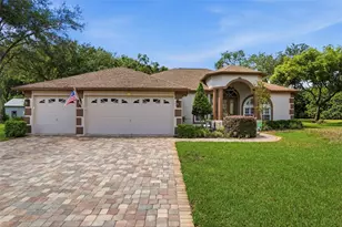 10531 Miracle Ln, New Port Richey, FL 34654 - Photo 1