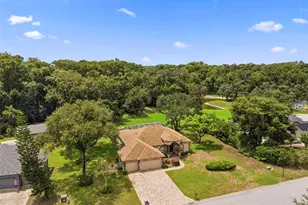 10531 Miracle Ln, New Port Richey, FL 34654 - Photo 8