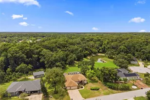 10531 Miracle Ln, New Port Richey, FL 34654 - Photo 60