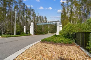 19825 Cypress Bridge Dr, Odessa, FL 33556 - Photo 44