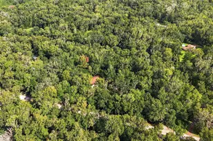 16205 Perimeter Dr, Brooksville, FL 34614 - Photo 50