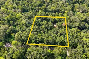 16205 Perimeter Dr, Brooksville, FL 34614 - Photo 44