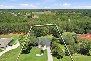 10261 Woodland Waters Blvd, Weeki Wachee, FL 34613 - Photo 2