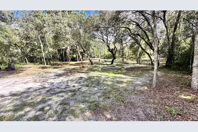 14535 Little Ranch Road, Spring Hill, FL 34610 - Photo 6