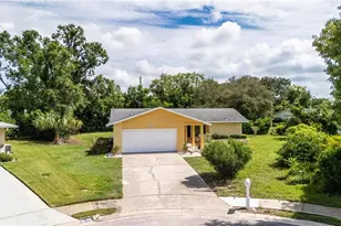 1630 Byrnedale Ct, Palm Harbor, FL 34684 - Photo 34