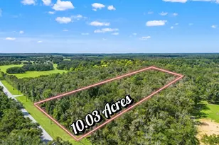 11426 S Pleasant Grove Rd, Floral City, FL 34436 - Photo 1