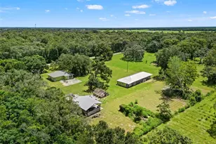 255 Benes Rd, Brooksville, FL 34604 - Photo 1