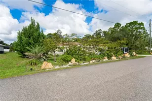 13117 Marbled Godwit Rd, Brooksville, FL 34614 - Photo 56